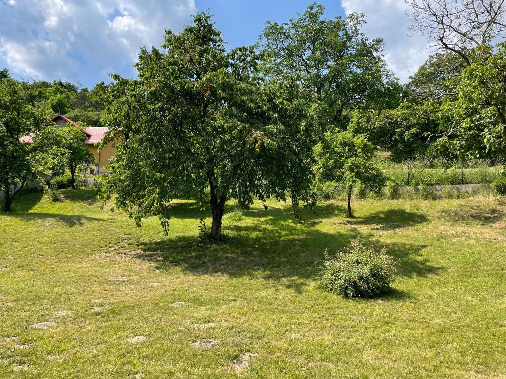 Penzion Villa Amelie Mladá Boleslav Екстериор снимка